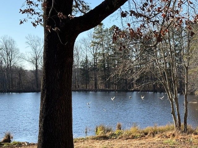 6283 Ar-21, Clarksville, AR 72830