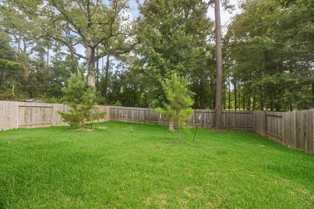 4050 Timber Sapp Drive, Conroe, TX 77304