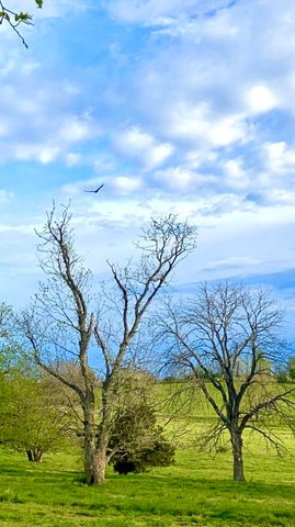 101 Friesan Court, Wilmore, KY 40390