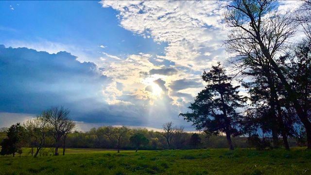 101 Friesan Court, Wilmore, KY 40390