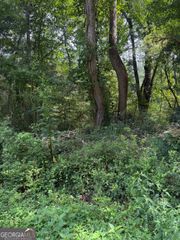 2924 Raintree Drive SE, Conyers, GA 30094