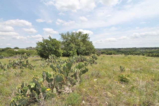 1102 Bluffview Ct, Glen Rose, TX 76043