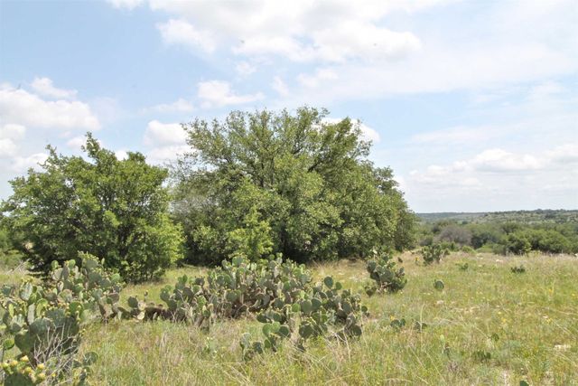 1102 Bluffview Ct, Glen Rose, TX 76043