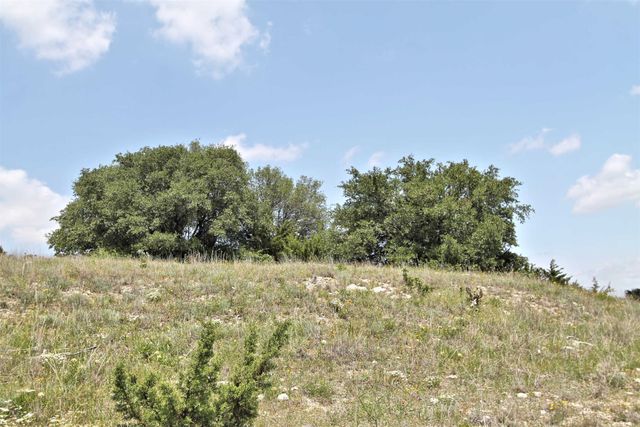1102 Bluffview Ct, Glen Rose, TX 76043