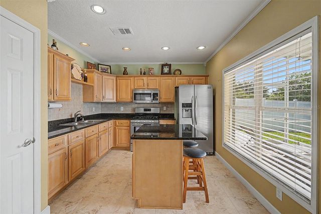 24520 SUMMER WIND COURT, Lutz, FL 33559