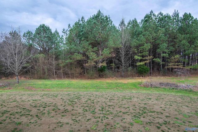 13 Kaylee Loop Road, Hartselle, AL 35640