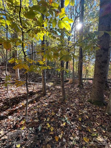 9999 Hemlock Trail, Laurel Park, NC 28739