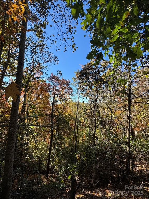 9999 Hemlock Trail, Laurel Park, NC 28739