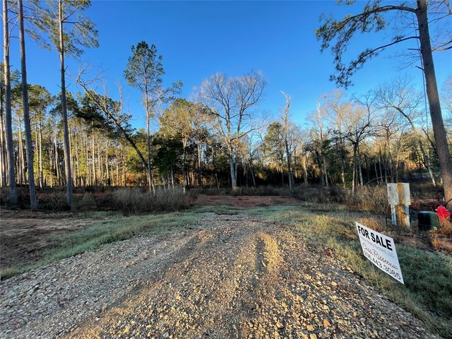 11351 Annie Creek Drive, Willis, TX 77378