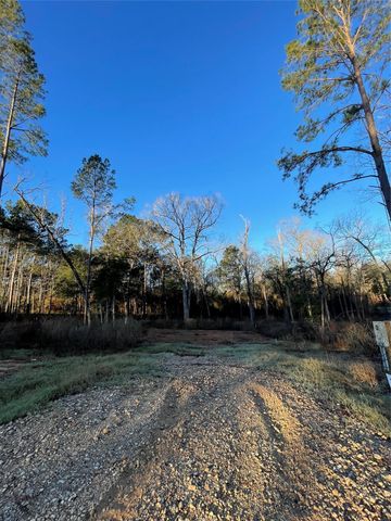 11351 Annie Creek Drive, Willis, TX 77378