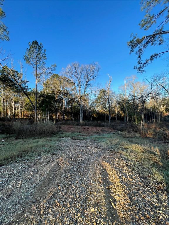 11351 Annie Creek Drive, Willis, TX 77378