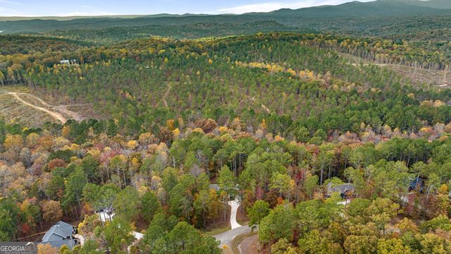 1130 Bridge Road 66, Ellijay, GA 30540