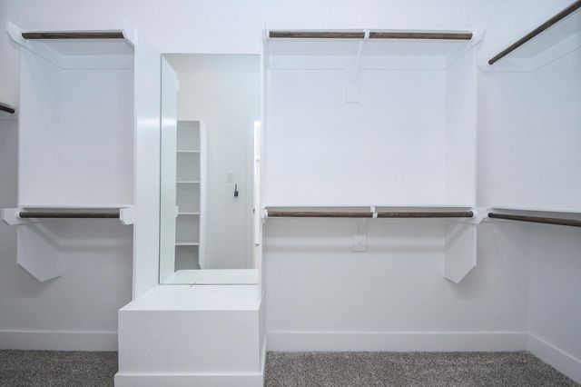 24526 Bluestar Blossom Trail Trail, Katy, TX 77493