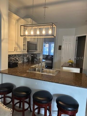 20104 POND SPRING WAY, Tampa, FL 33647