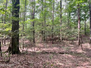 Brock Cir, Brandon, MS 39042