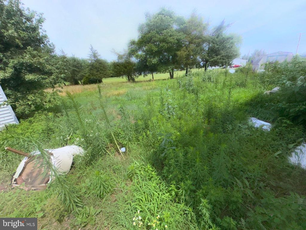 Image 38 of property listing at 5134 RHODESDALE VIENNA RD, Vienna, MD 21869
