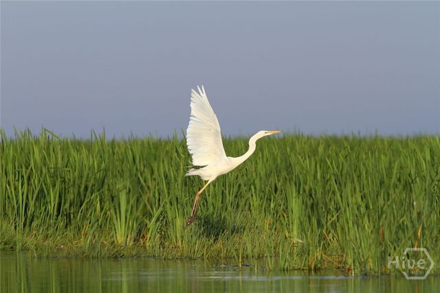 601 6th Street B, Tybee Island, GA 31328