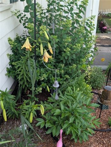 25 Trieste Street, Pawtucket, RI 02860