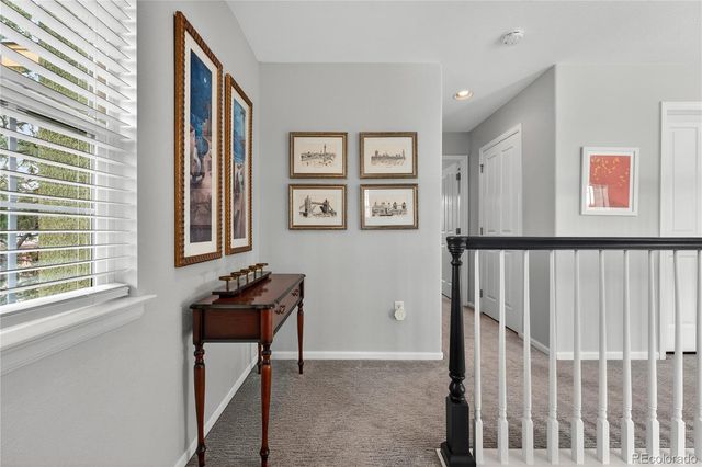 3997 Blue Pine Circle, Highlands Ranch, CO 80126