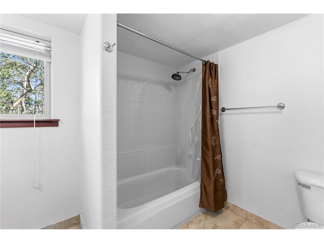 56 Sheep Ridge Rd, Fairplay, CO 80440