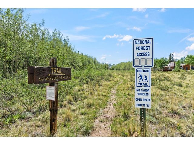 56 Sheep Ridge Rd, Fairplay, CO 80440