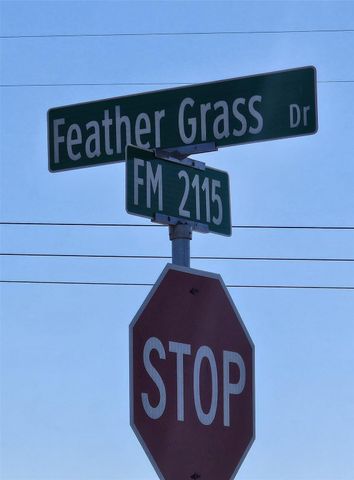 1281 Gamagrass RD, Salado, TX 76571