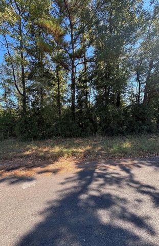 0 Old Highway 35 N, Livingston, TX 77351