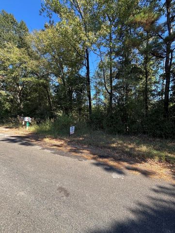 0 Old Highway 35 N, Livingston, TX 77351