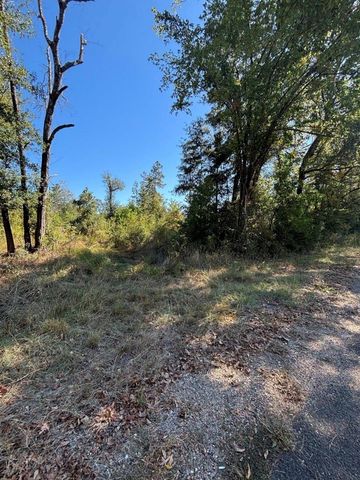 0 Old Highway 35 N, Livingston, TX 77351