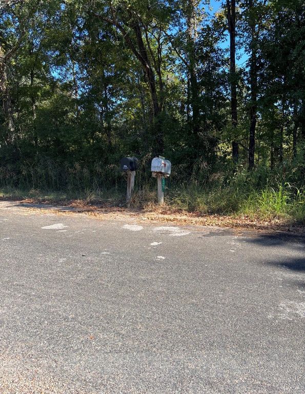 0 Old Highway 35 N, Livingston, TX 77351