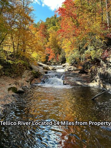 669 Pond Ridge Road, Tellico Plains, TN 37385