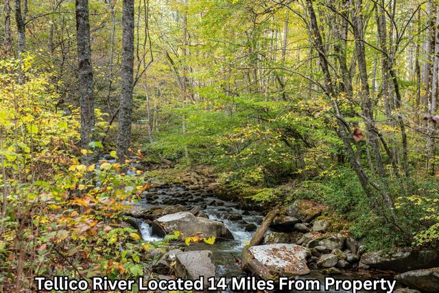 669 Pond Ridge Road, Tellico Plains, TN 37385