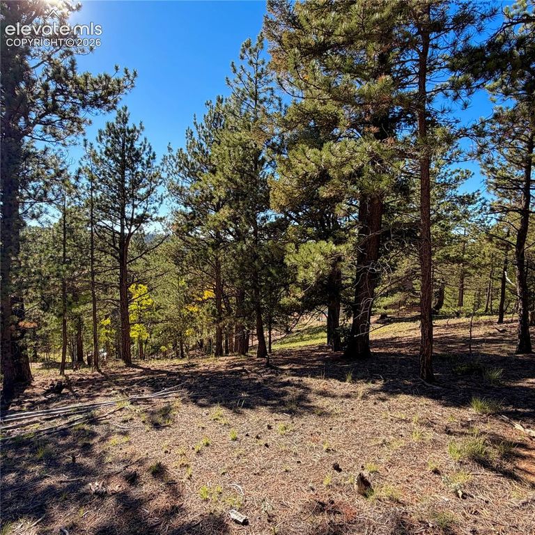 31 Pike View Circle, Divide, CO 80814 — exterior