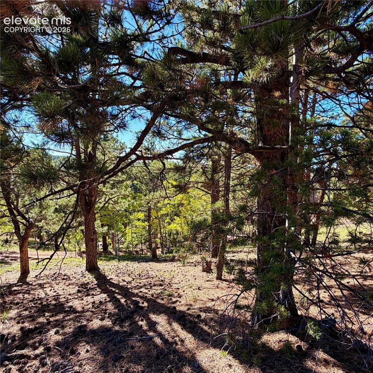 31 Pike View Circle, Divide, CO 80814 — photo 4