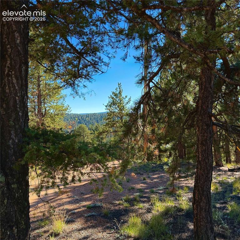 31 Pike View Circle, Divide, CO 80814 — photo 5