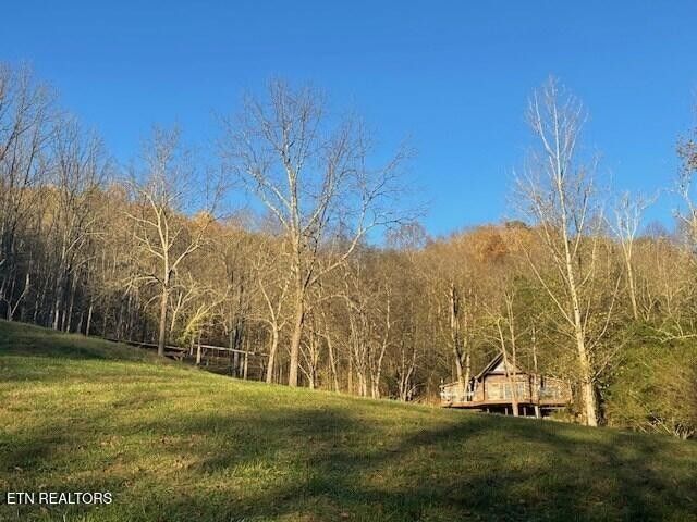 360 Spurlock Hollow Lane, Gainesboro, TN 38562