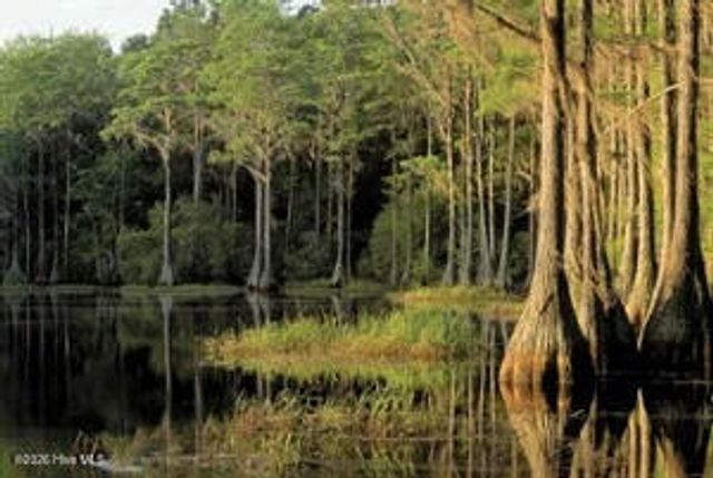 90 Maymont Street NW, Supply, NC 28462