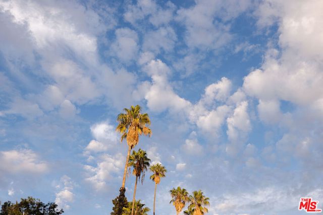 6205 Vidette Street, Los Angeles, CA 90042