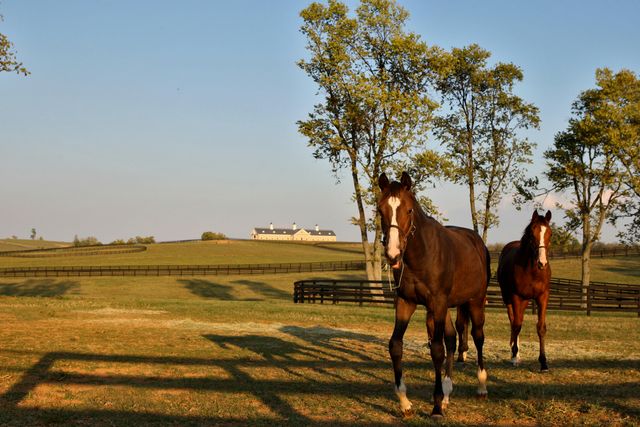 629 Cane Ridge Road, Paris, KY 40361