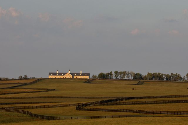 629 Cane Ridge Road, Paris, KY 40361