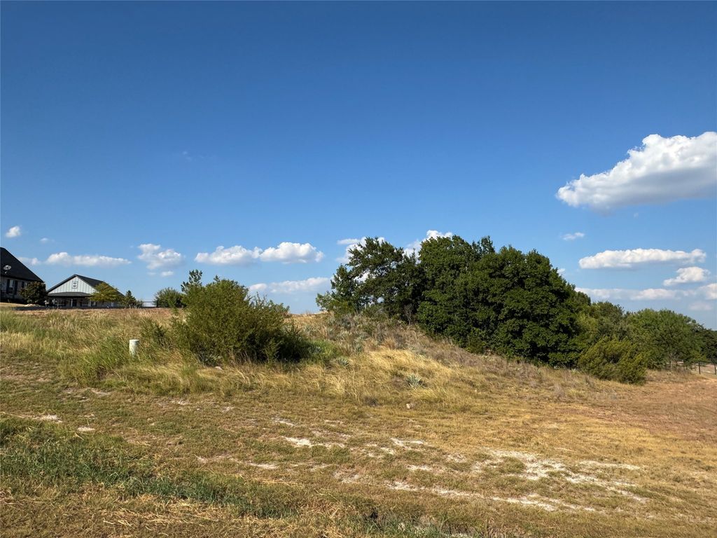 7901 Rohne Court, Granbury, TX 76049 — photo 3