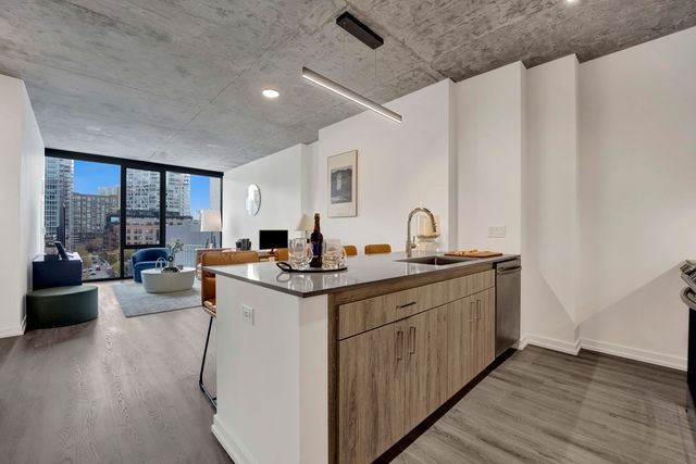 808 N Cleveland Avenue 1606, Chicago, IL 60610