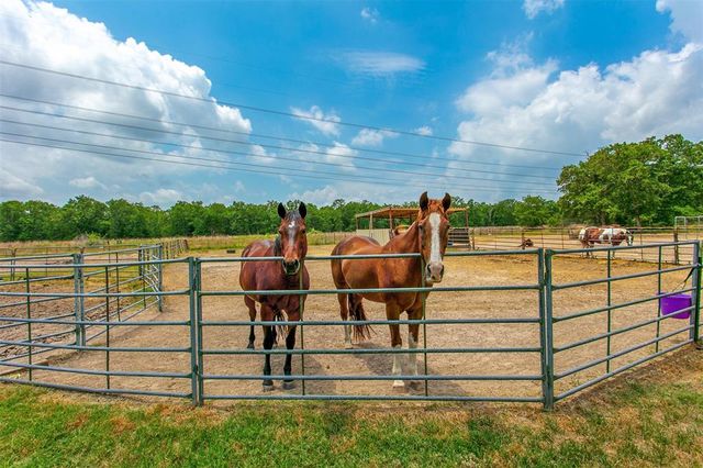 15303 Autumn Oaks Lane, Iola, TX 77861