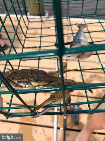 234-11.20-266.00 LOT BOAT DOCK CT, Lewes, DE 19966