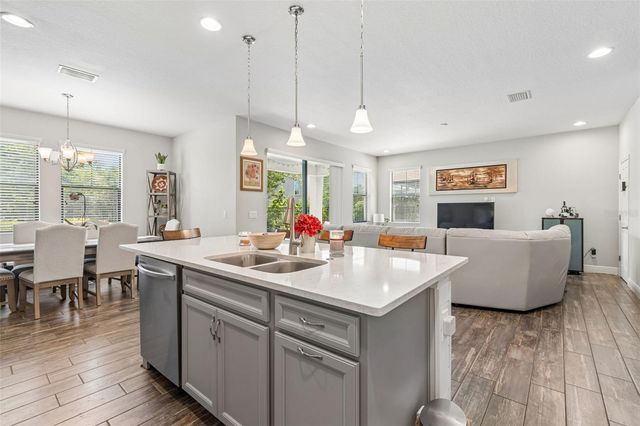 17576 TERRAZZO WAY, Land O Lakes, FL 34638