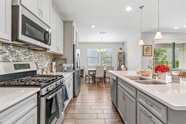 17576 TERRAZZO WAY, Land O Lakes, FL 34638