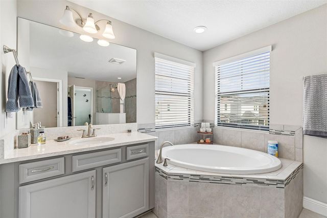 17576 TERRAZZO WAY, Land O Lakes, FL 34638