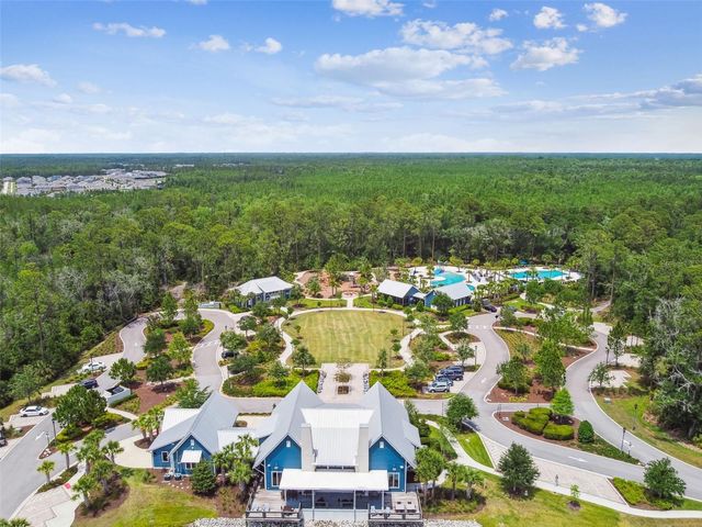 17576 TERRAZZO WAY, Land O Lakes, FL 34638