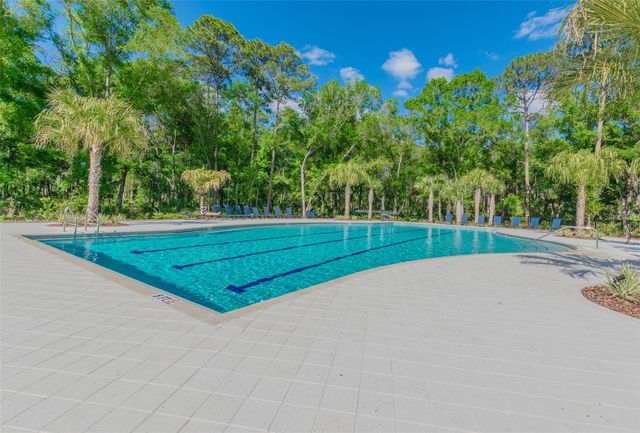 17576 TERRAZZO WAY, Land O Lakes, FL 34638