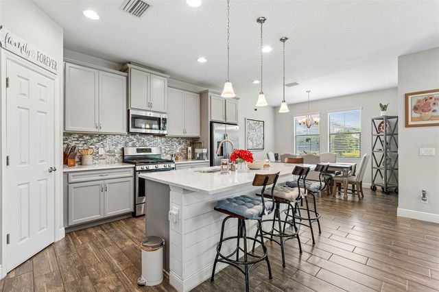 17576 TERRAZZO WAY, Land O Lakes, FL 34638